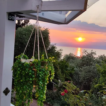 Panorama, Now A Smart