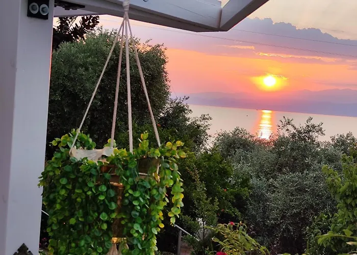 Panorama, Now A Smart